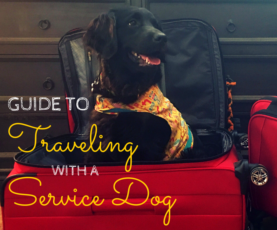 travel with service animal