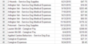 spreadsheet of working with a disability expenses