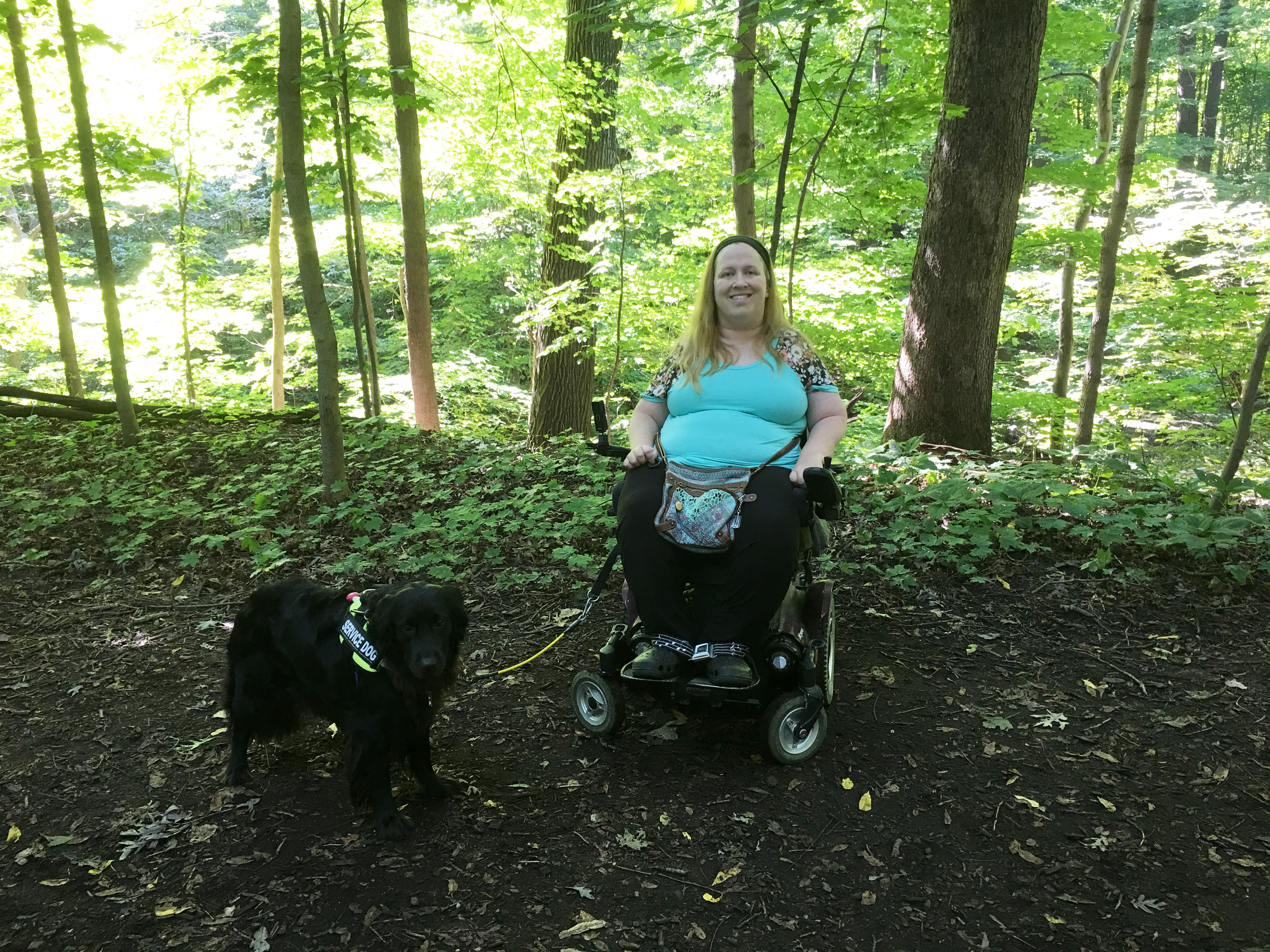 Along a trail through the woods at Indiana Dunes National Lakeshore.