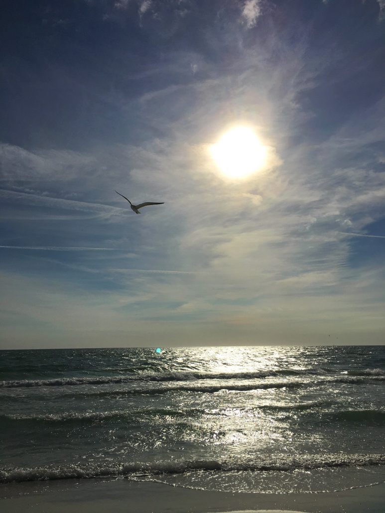 View of the ocean from Siesta Key wheelchair accessible beach near Sarasota, Florida,