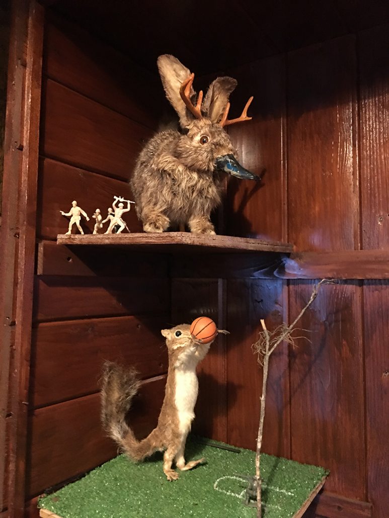 Weird taxidermy at the Linger Lodge, wheelchair accessible Bradenton, Florida.