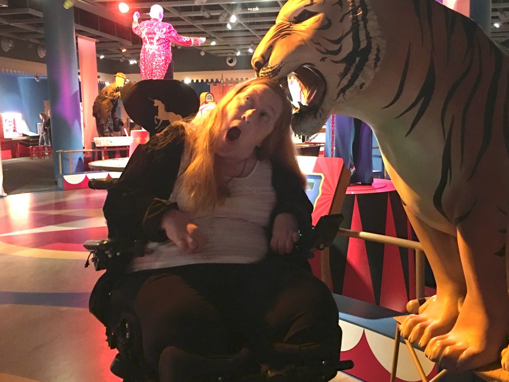 Enjoying my visit to the Ringling Circus museum in wheelchair accessible Sarasota, Florida. Tiger expressing his views about the history of wild animals in circuses. 