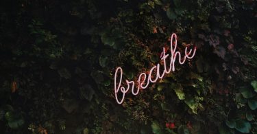 Neon sign reading "breathe" in trees